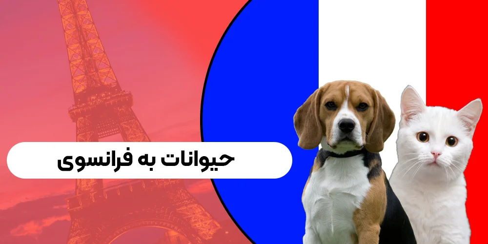 حیوانات به زبان فرانسوی